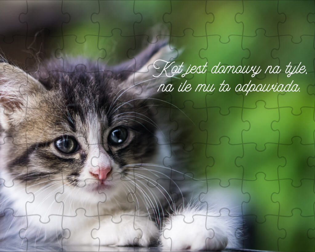kot puzzle